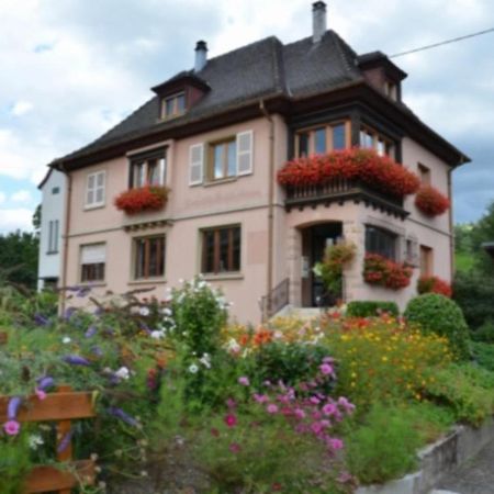 Au Chant De La Riviere Stosswihr Extérieur photo