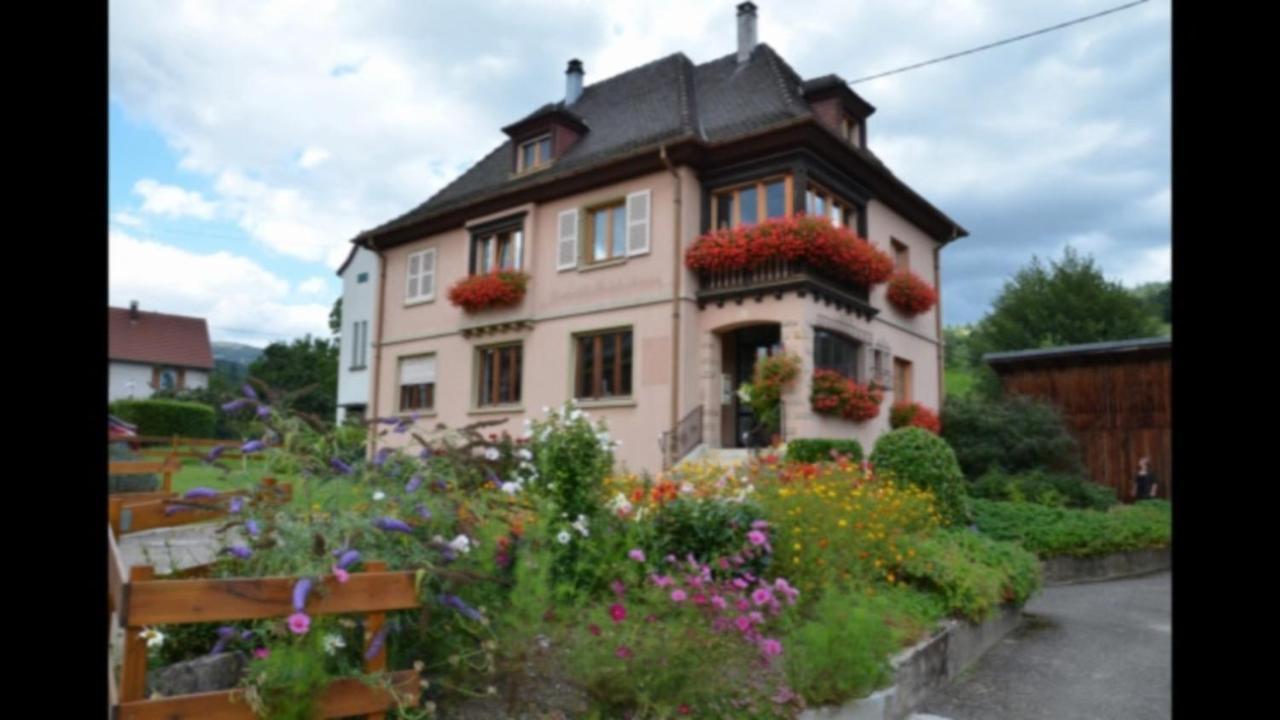 Au Chant De La Riviere Stosswihr Extérieur photo